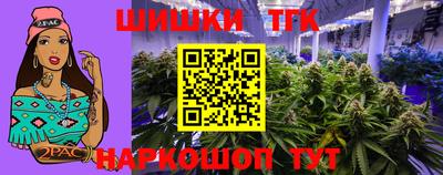 индика Краснознаменск