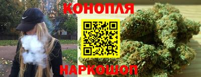 индика Краснознаменск