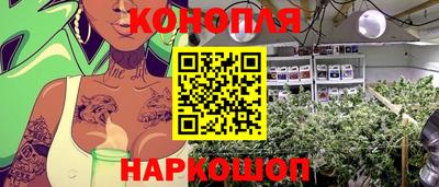 индика Краснознаменск