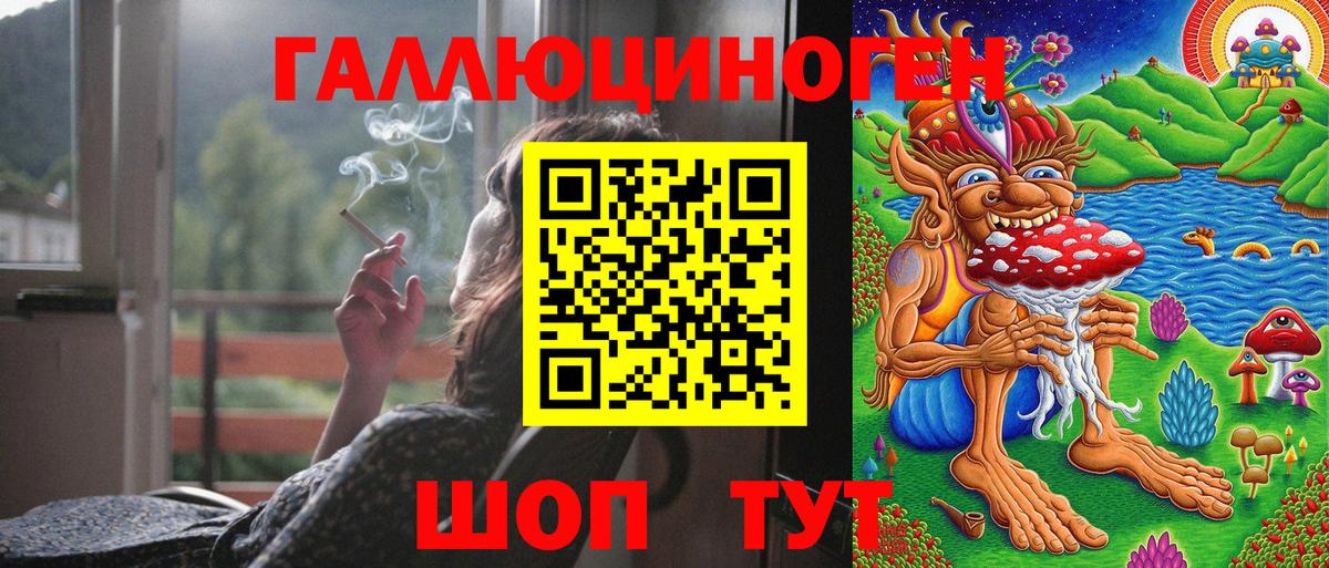 Псилоцибиновые грибы Cubensis Касимов