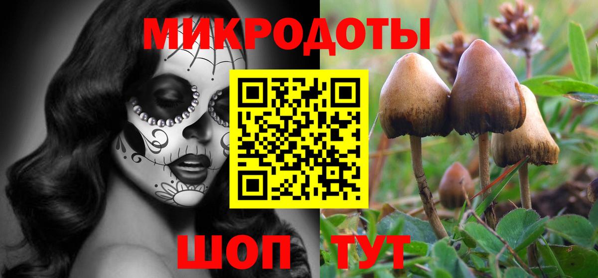 Касимов  Псилоцибиновые грибы Cubensis  Вход с VPN 